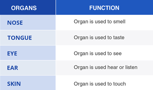 introduction-sense-organs